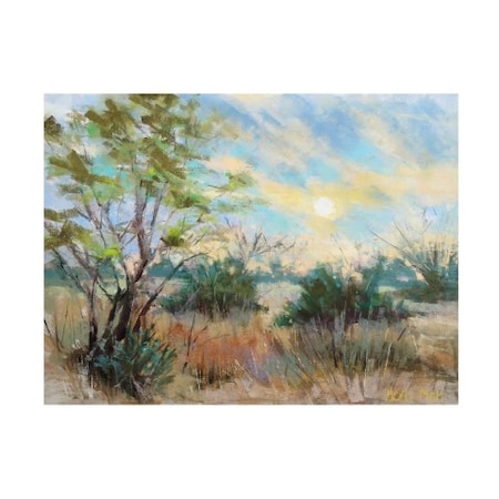 Nancie King Mertz 'Texas Sunrise' Canvas Art,24x32